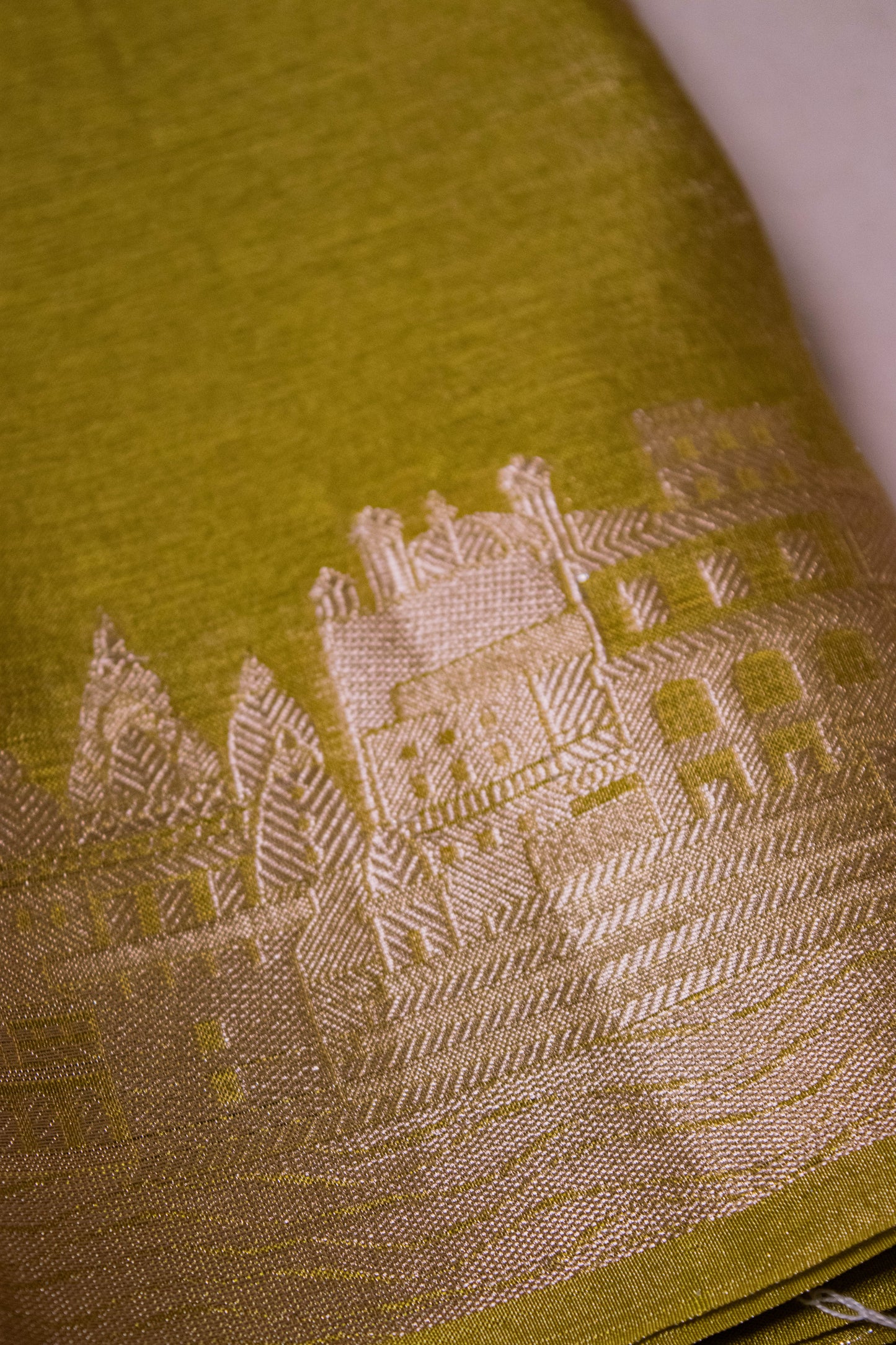 Banarasi Tissue With Ghaat Border - Green