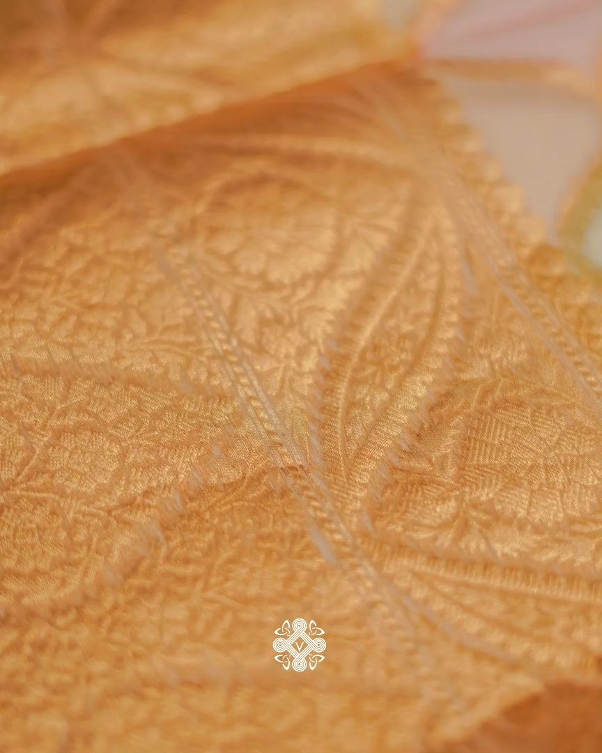 Pure Organza - Multi Shade