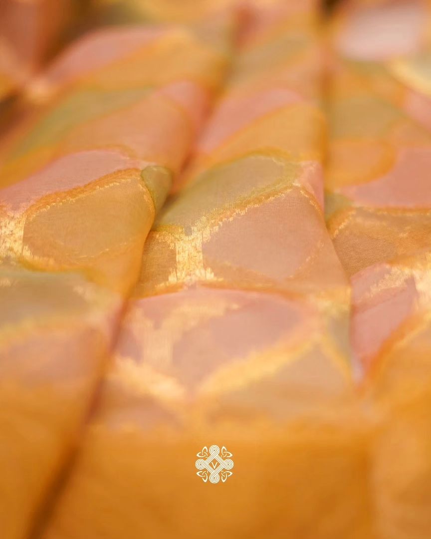 Pure Organza - Multi Shade