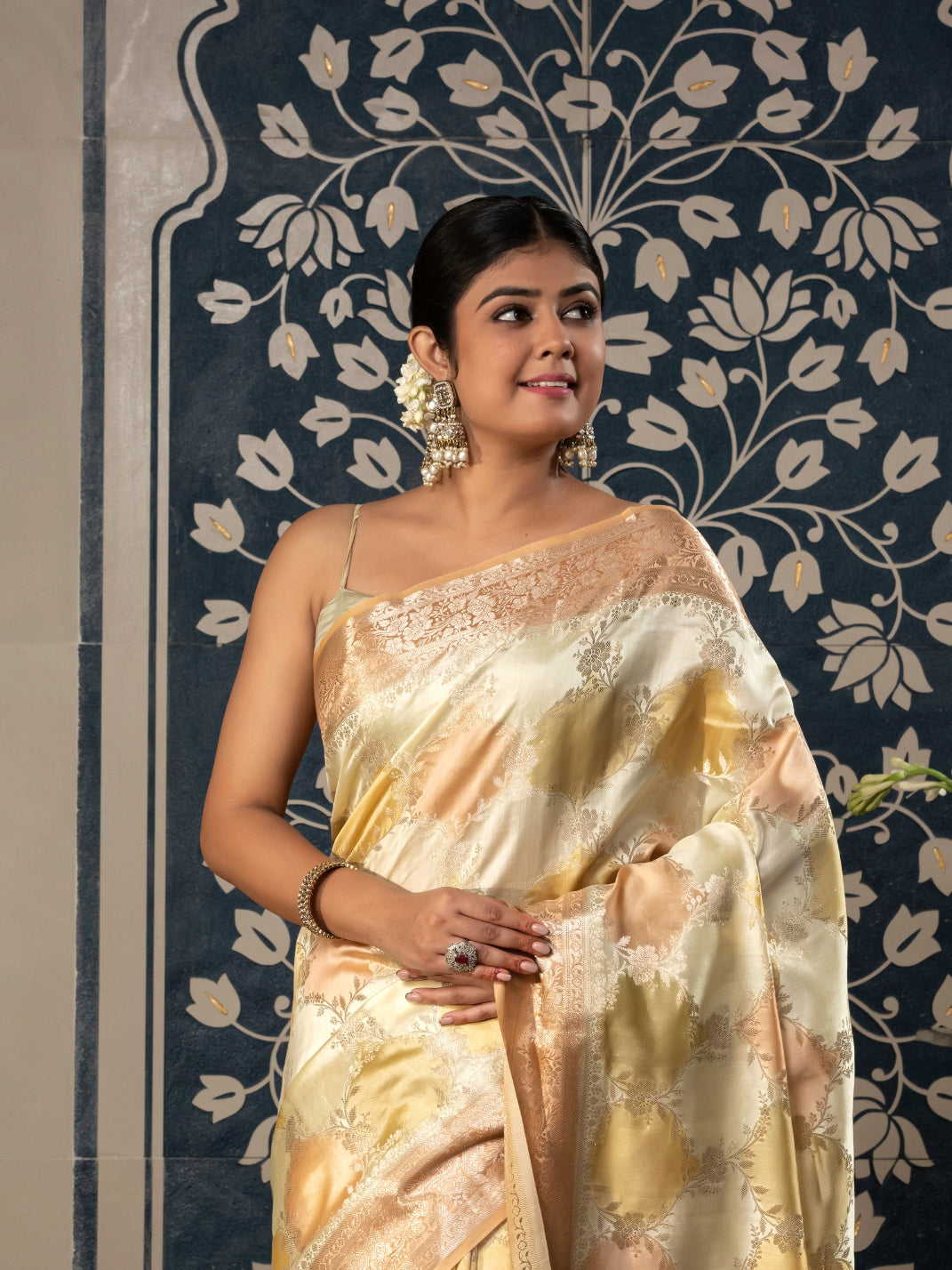 Handloom Banarasi Hand Brush Rangkaat Saree-Multi Color