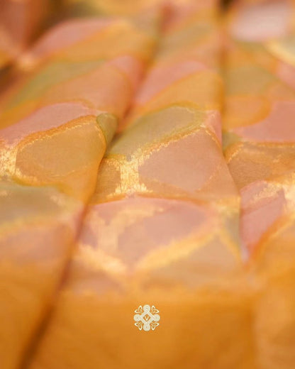 Pure Organza - Multi Shade