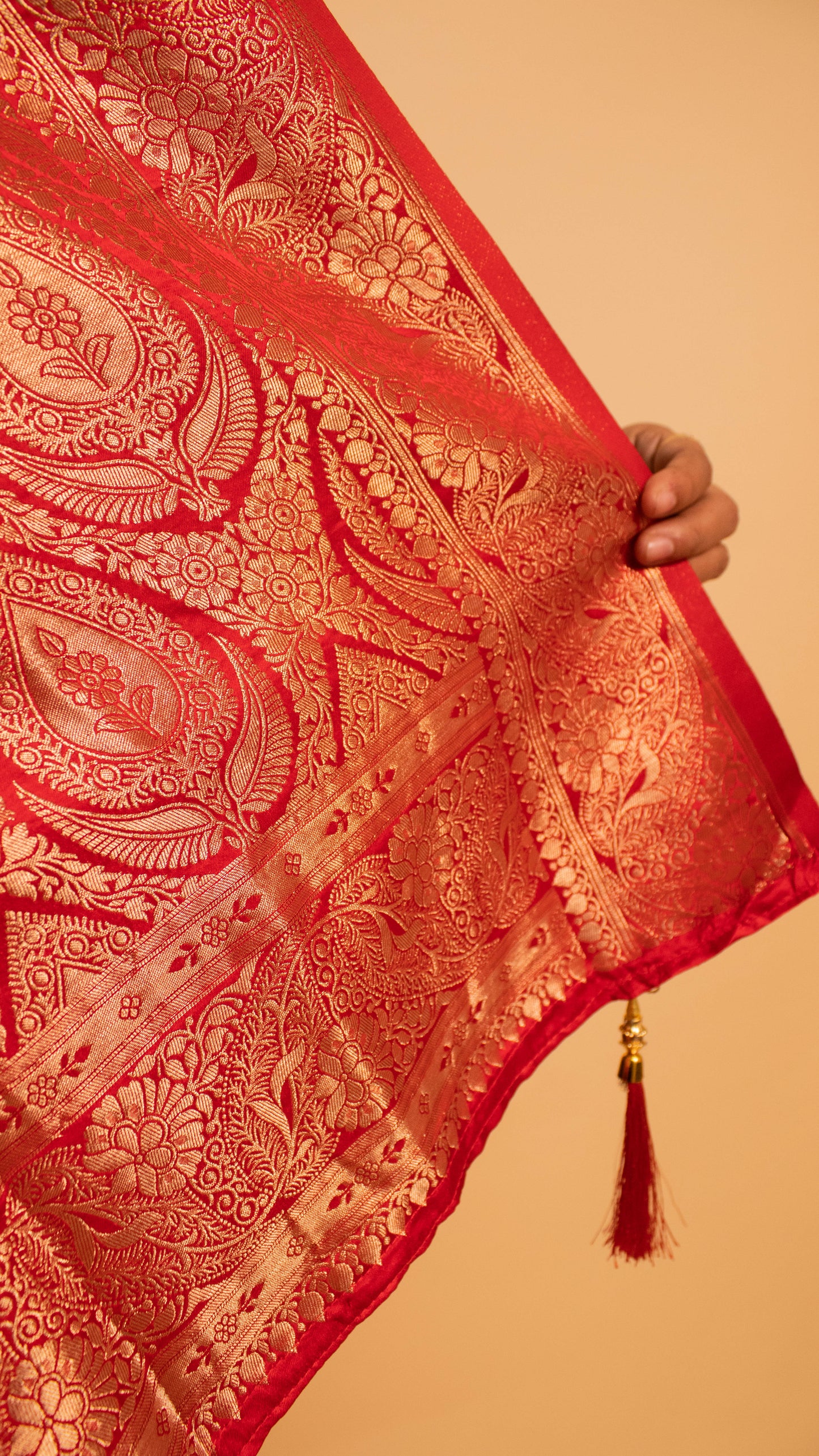 Traditional Banarsi Contrast Border And Jaal Weaving Yellow