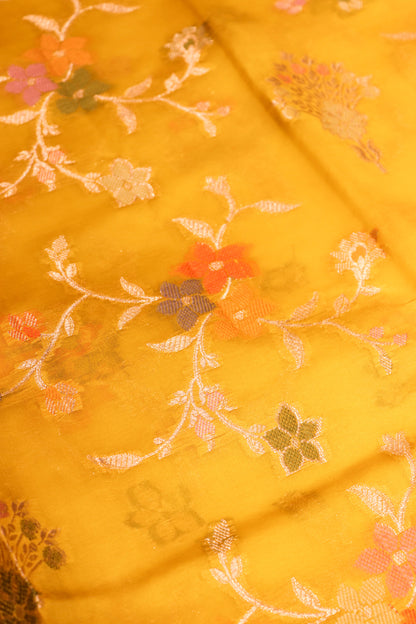 Meenakari Banarsi Jaal In Pure Dupion Silk-Yellow