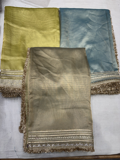 Banarasi Tissue With Maharani Style Hand Work Border Green